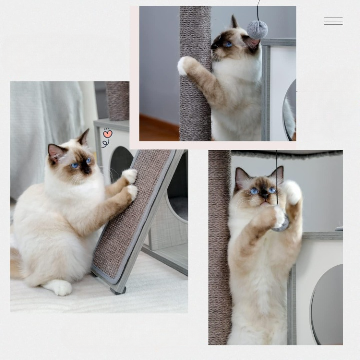 Arbre à chat gris 130 cm avec niches, hamac et griffoirs sisal