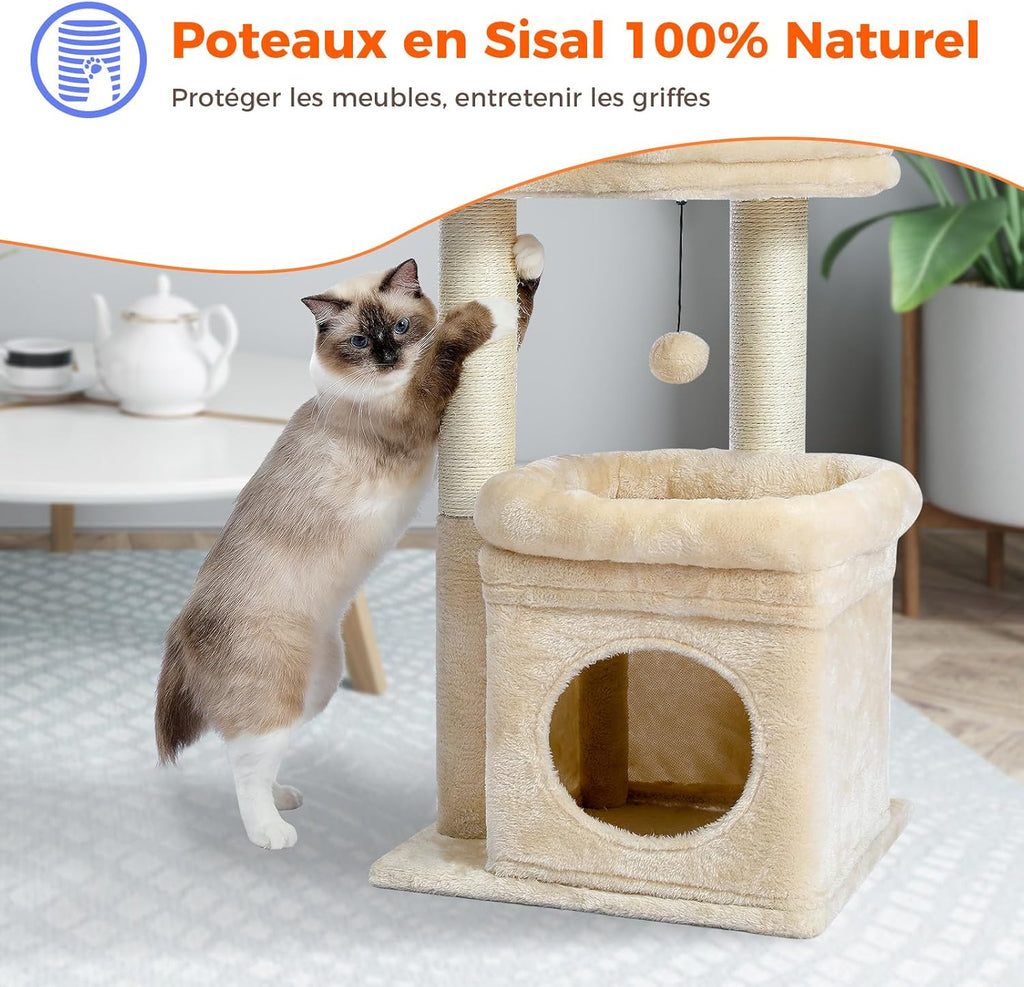 Arbre à Chat - Tango