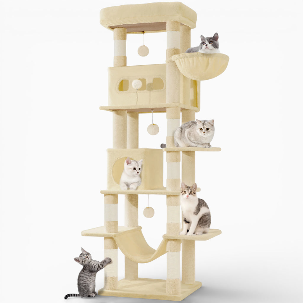 Arbre à Chat - Kito