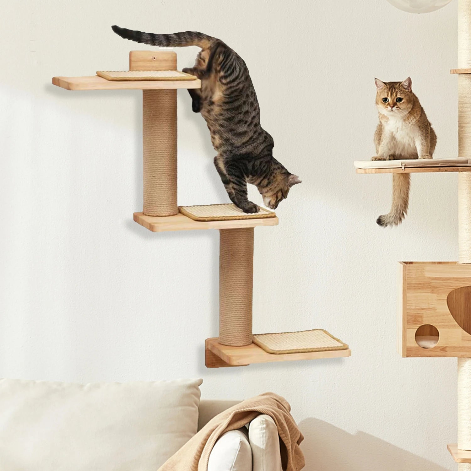 Arbre à Chat Mural en Bois – Plateformes, Échelles et Griffoir