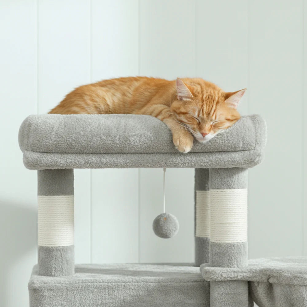 Arbre à Chat - Kito