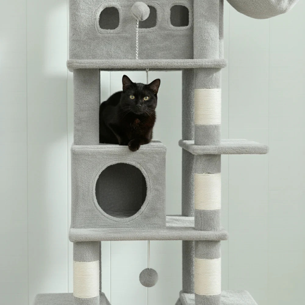 Arbre à Chat - Kito