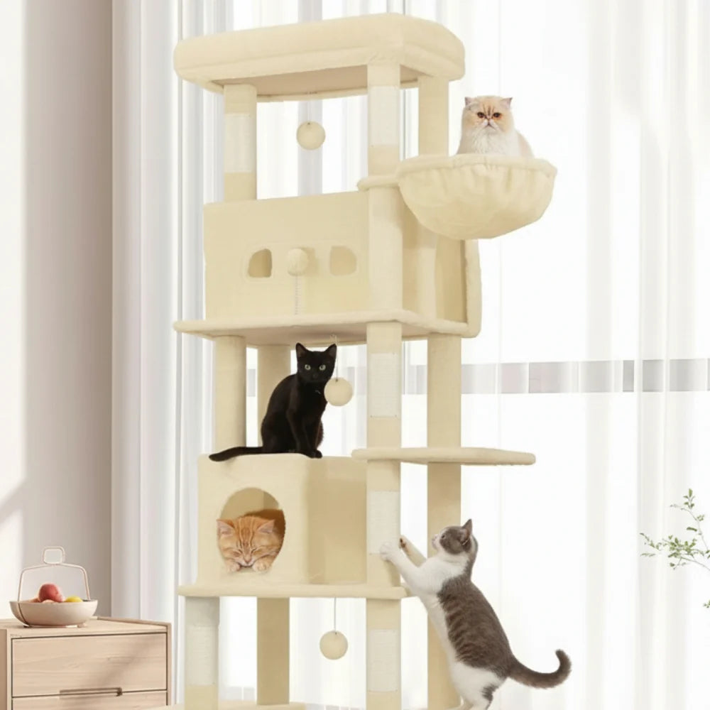 Arbre à Chat - Kito