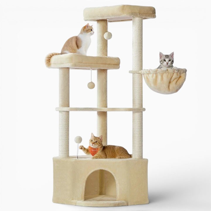 Arbre à Chat - Nimbus