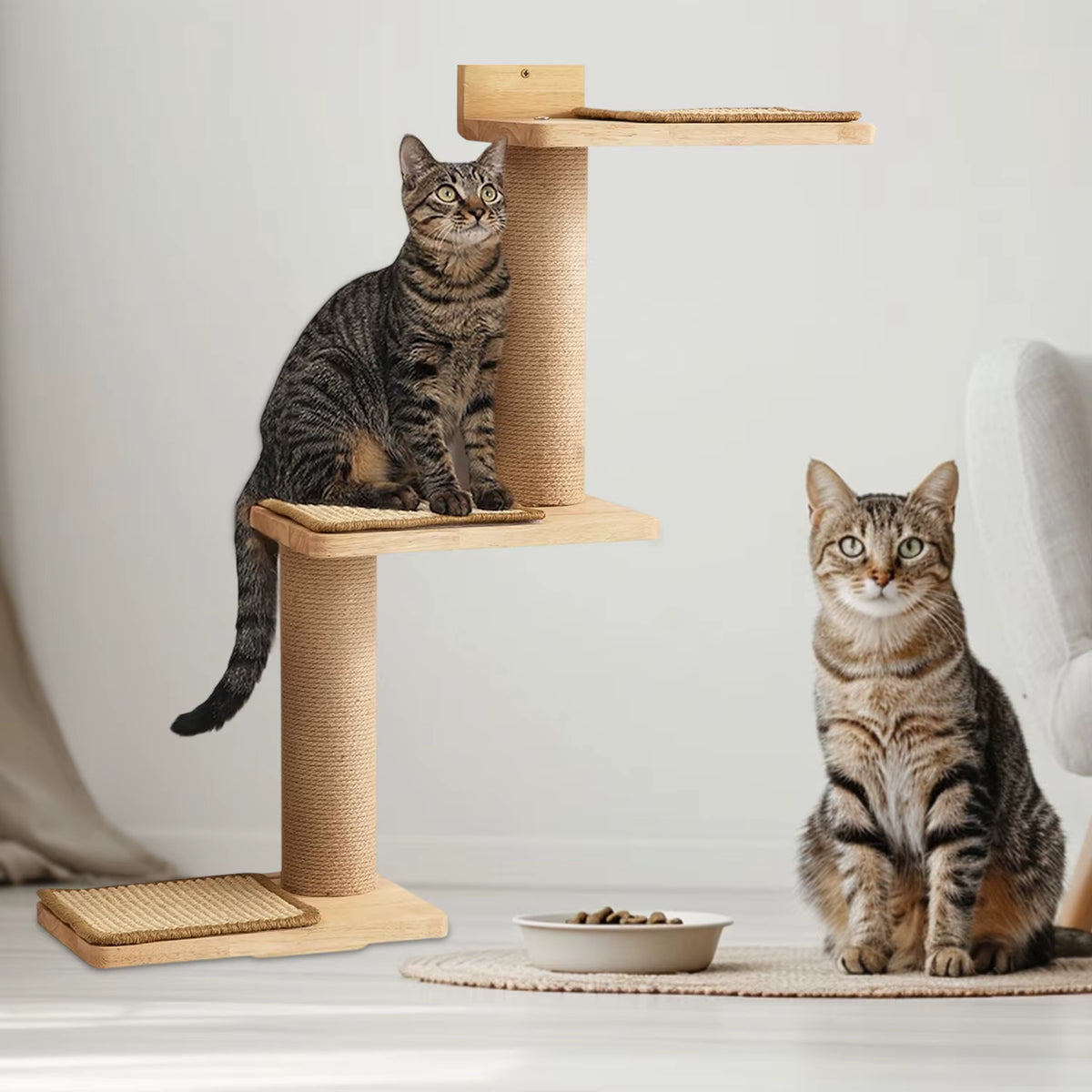 Arbre à Chat Mural en Bois – Plateformes, Échelles et Griffoir