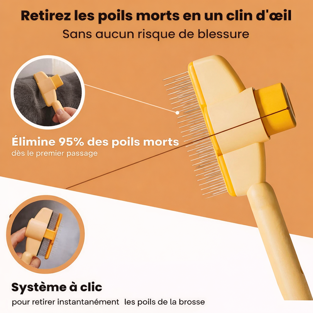 Brosse anti-poil pour chat