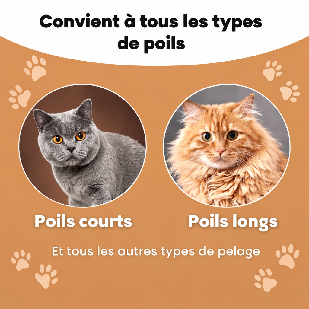 Brosse anti-poil pour chat