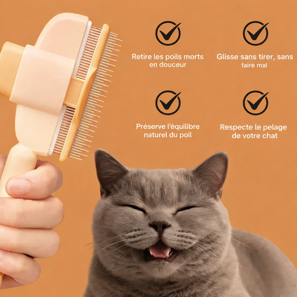 Brosse anti-poil pour chat