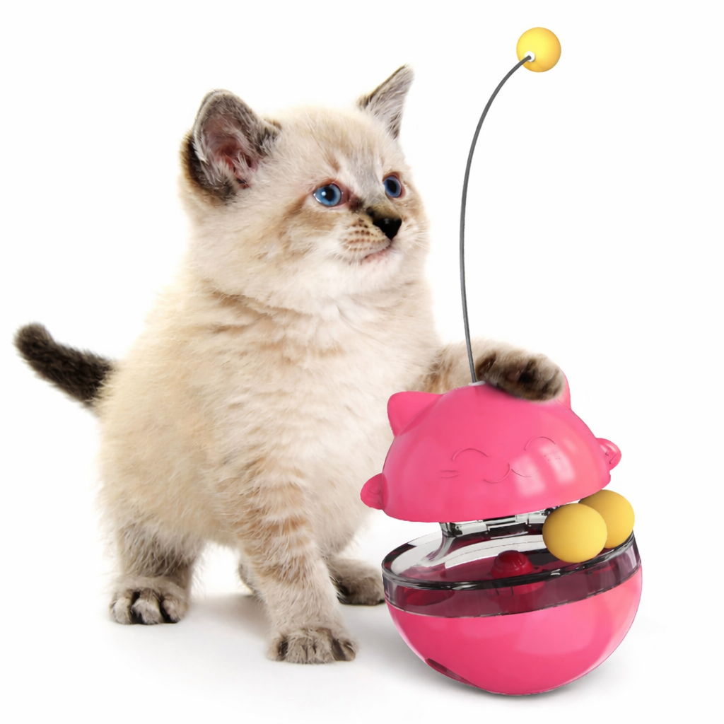 Jouet Distributeur de Friandises pour Chat