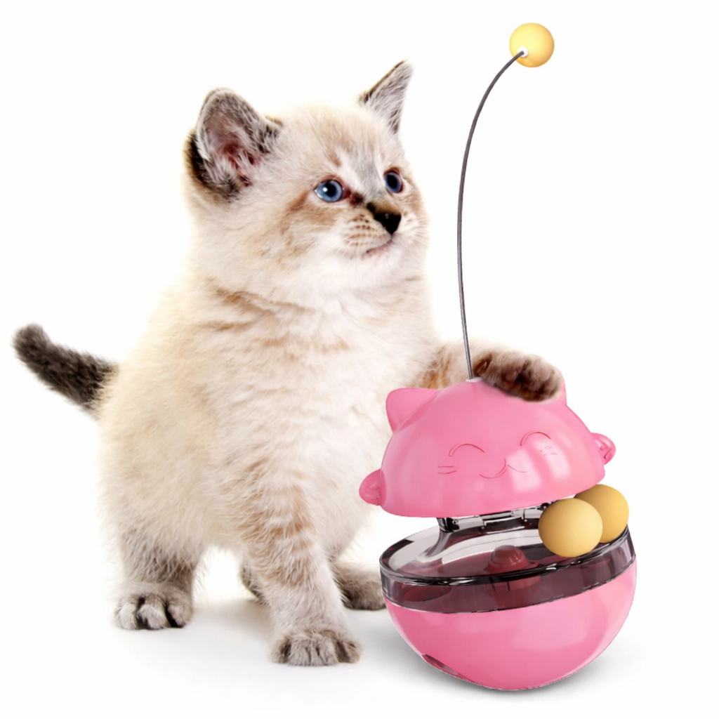 Jouet Distributeur de Friandises pour Chat