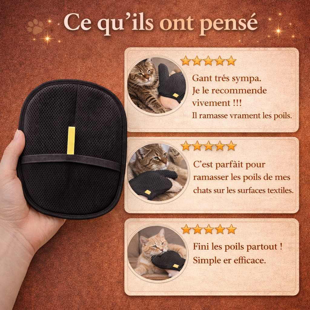 Gant Anti-Poils pour Chat Réutilisable &  Écologique