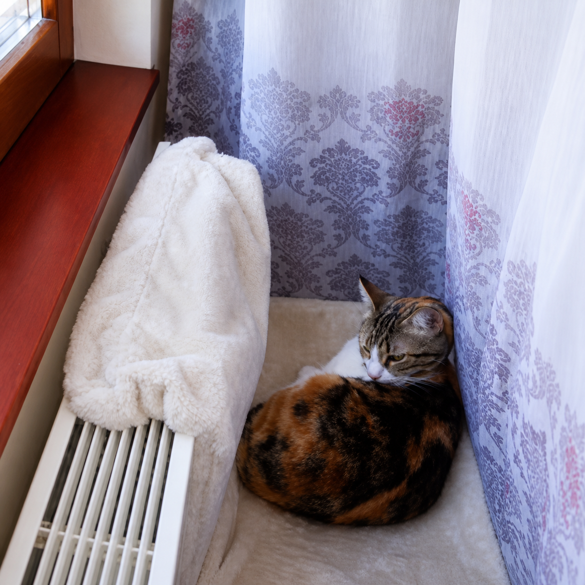 Hamac de radiateur pour chat