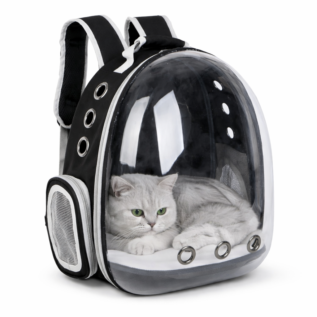Sac à dos respirant pour chat avec fenêtre transparente