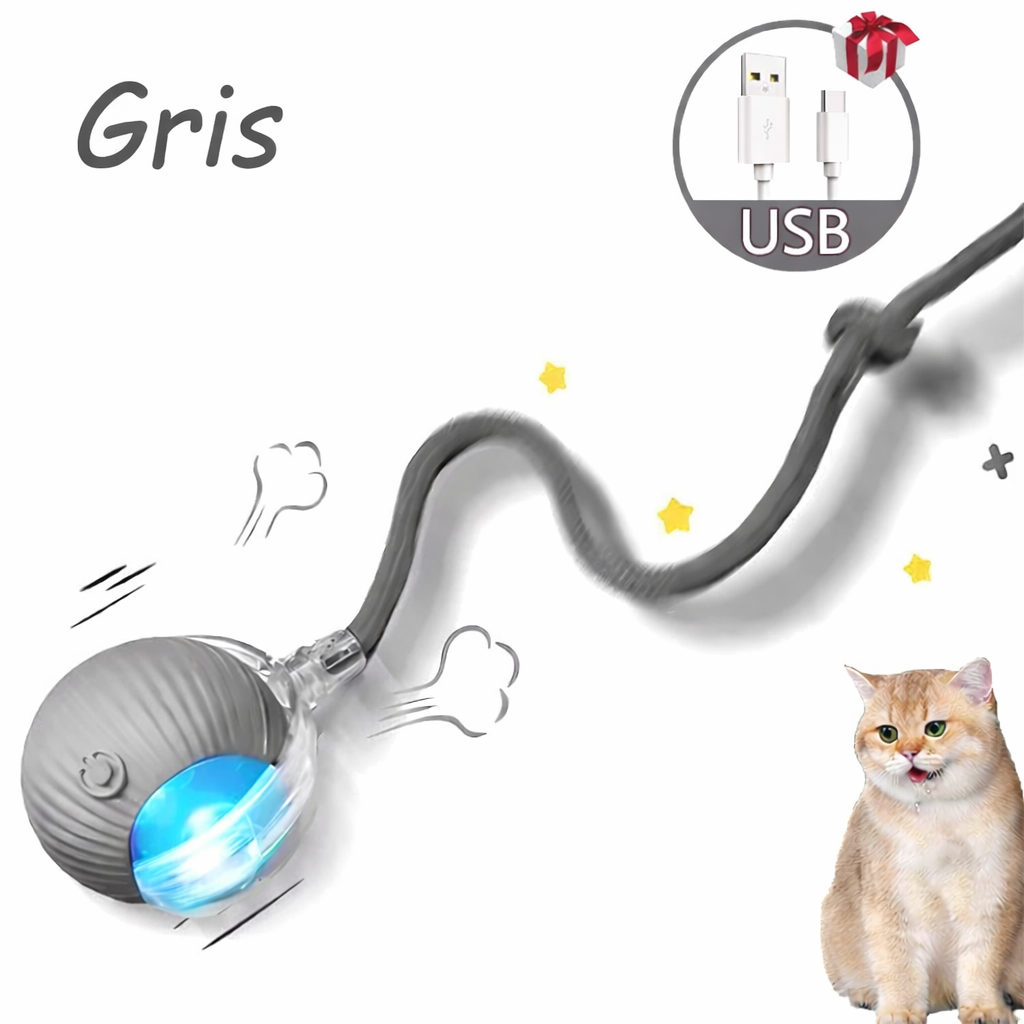 Balle de jeu interactive pour chat