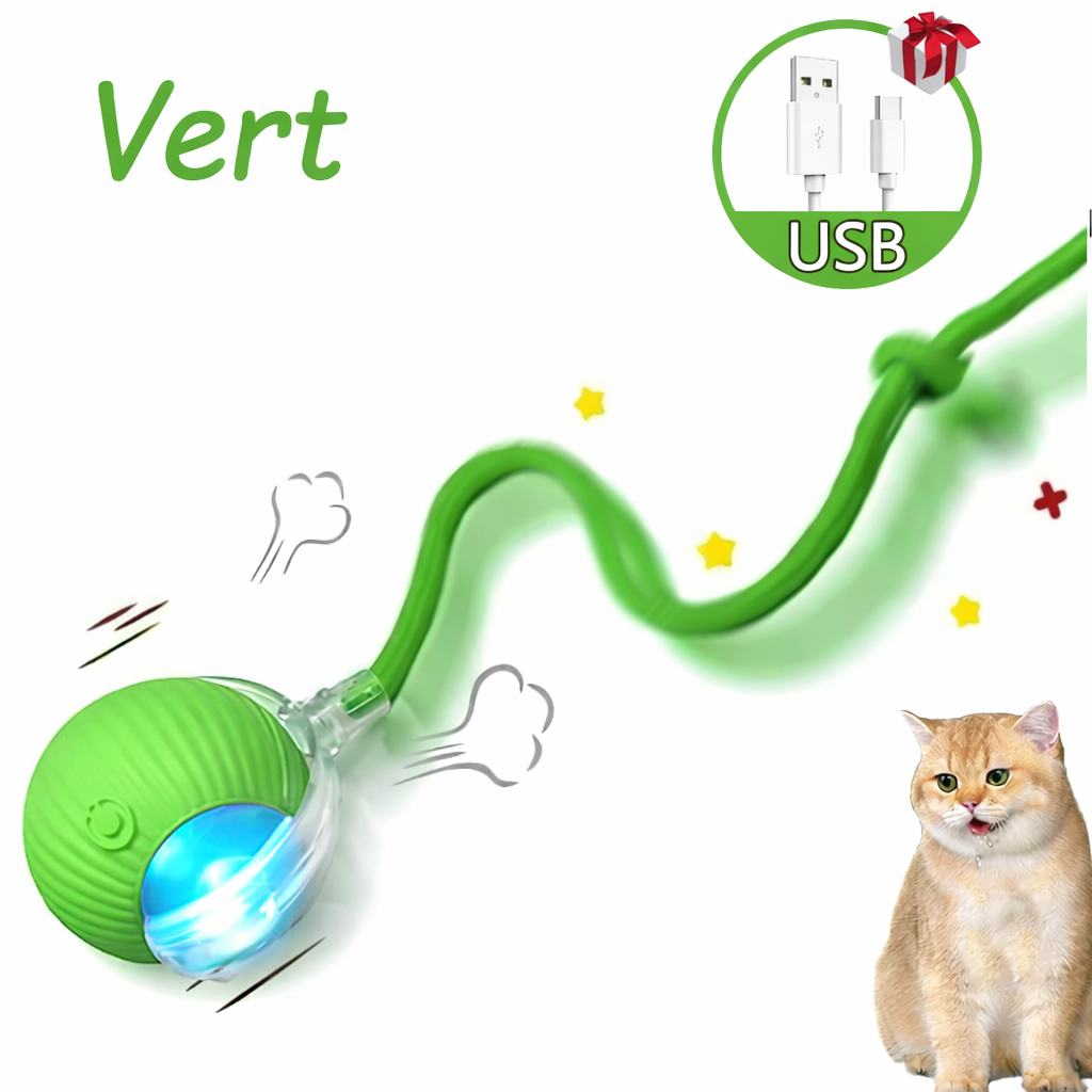 Balle de jeu interactive pour chat