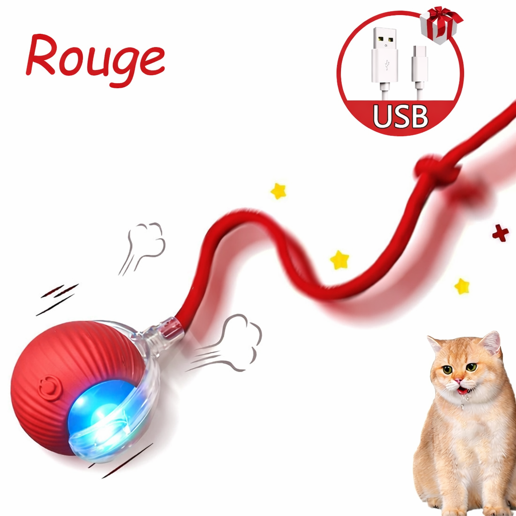 Balle de jeu interactive pour chat