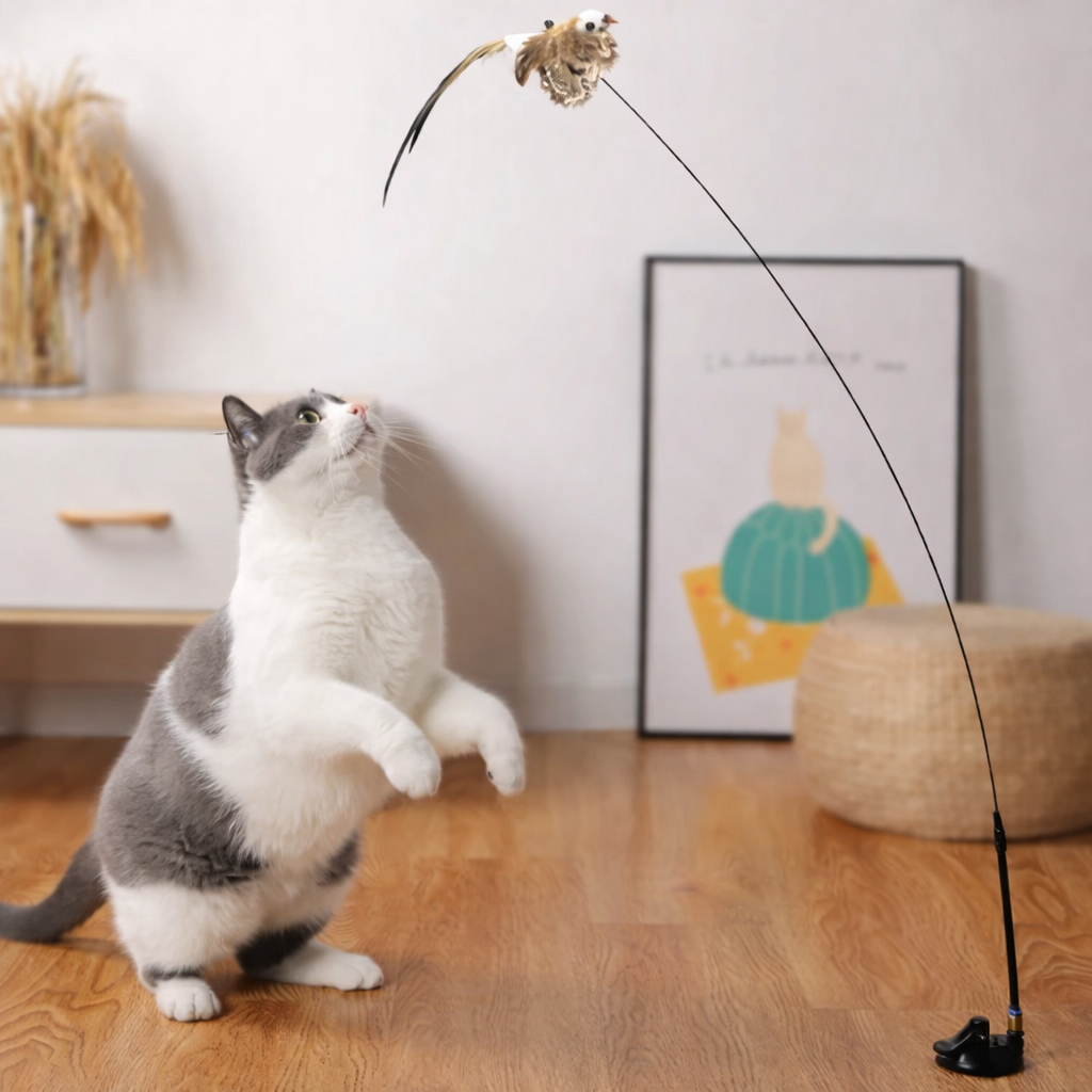 Jouet pour Chat Interactif à Ventouse - Simulation d’Oiseau et Plumes Amovibles