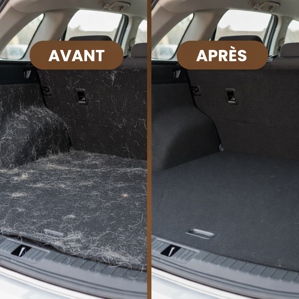 Gant Anti-Poils pour Chat Réutilisable &  Écologique