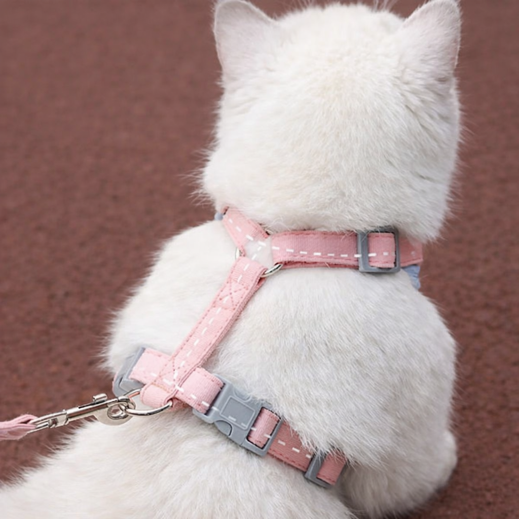 Harnais pour chat - Ajustable et anti-fugue