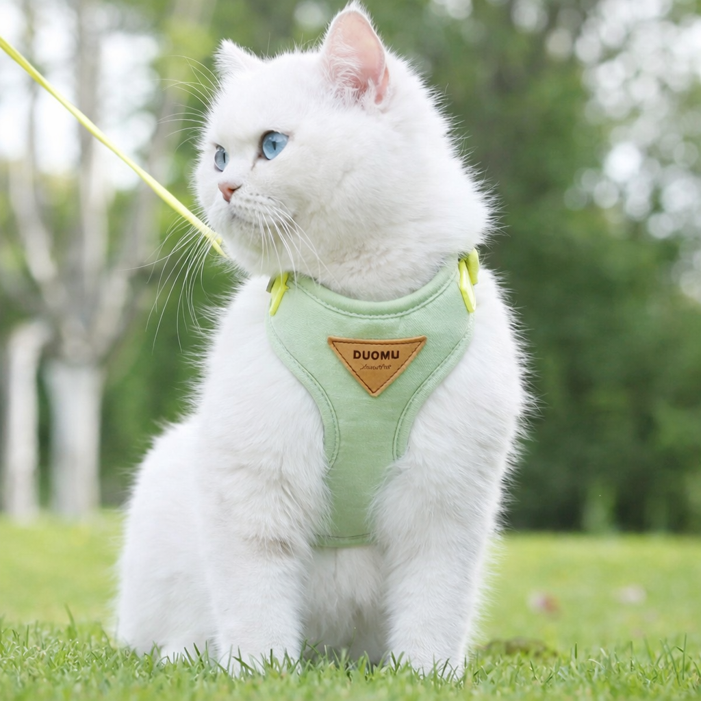 Harnais pour chat - Ajustable et anti-fugue