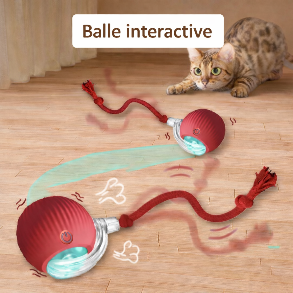 Balle de jeu interactive pour chat