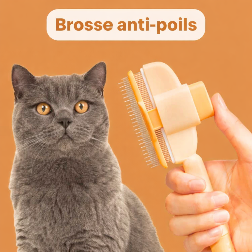Brosse anti-poil pour chat