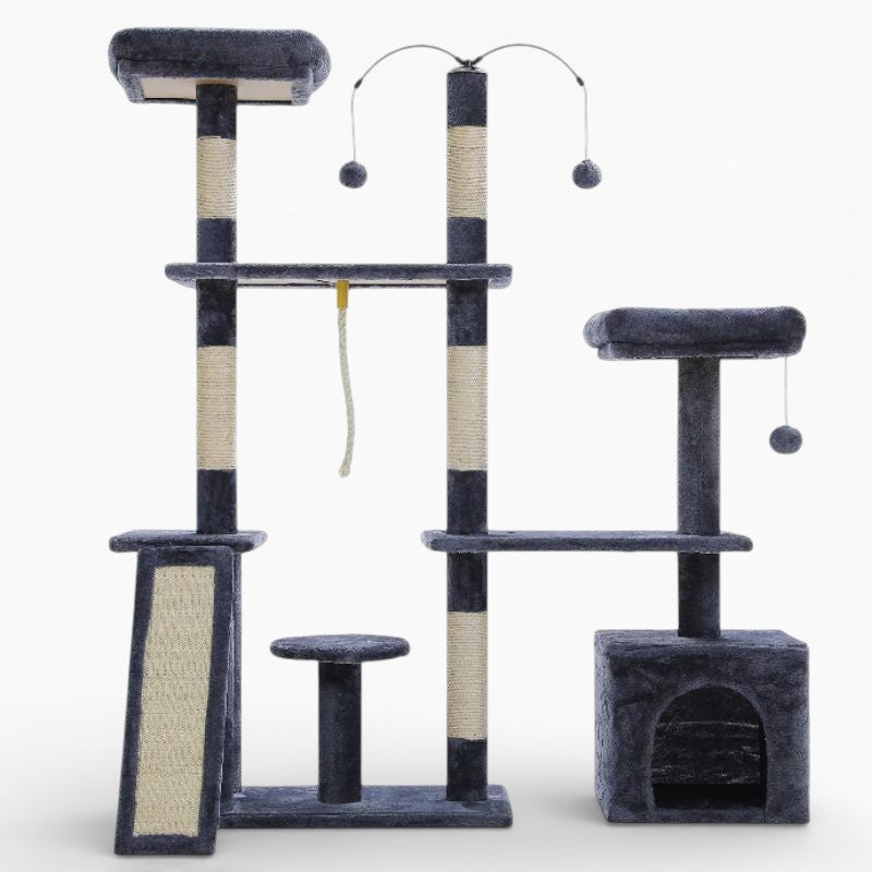 Arbre à Chat - Charly