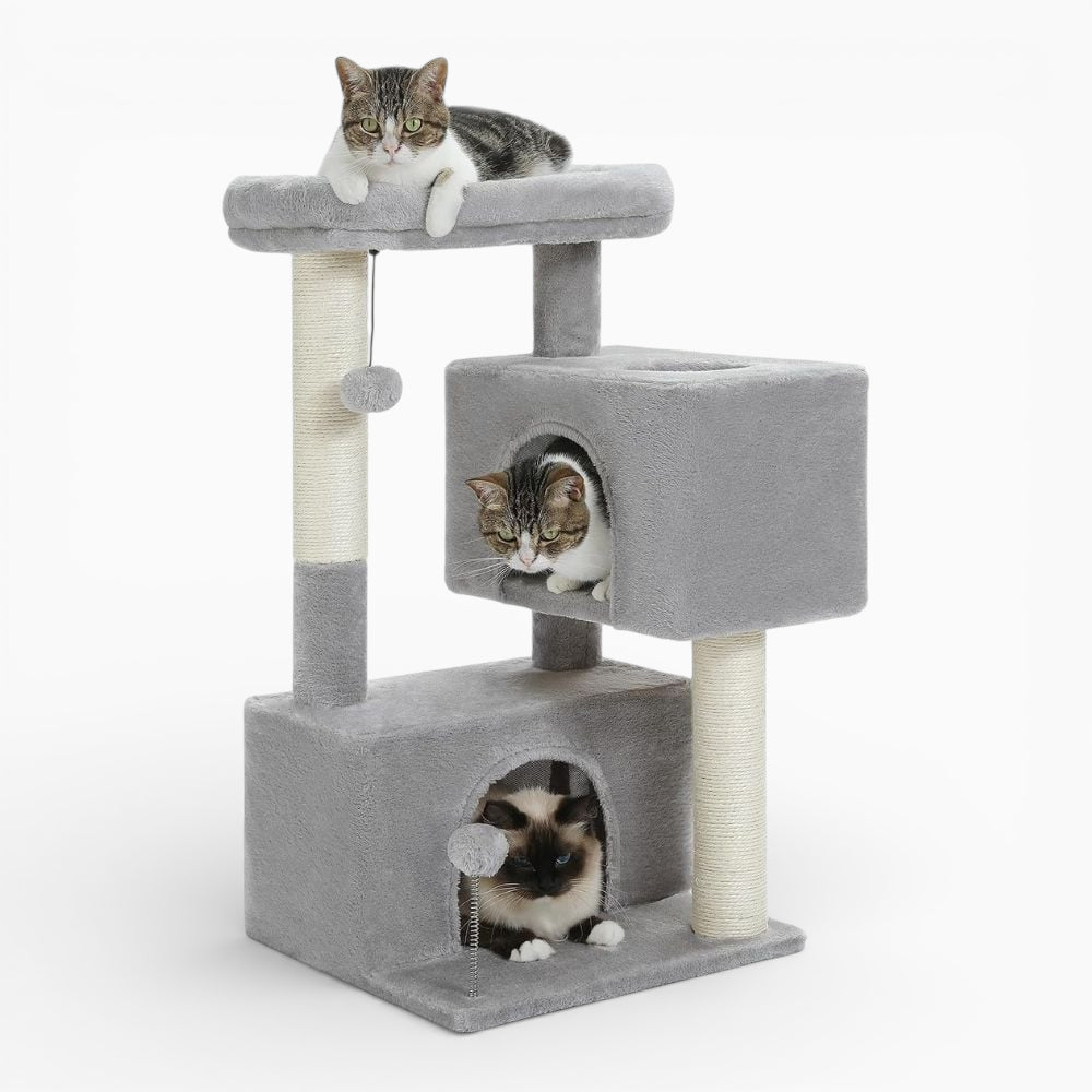 Arbre à Chat - Skye