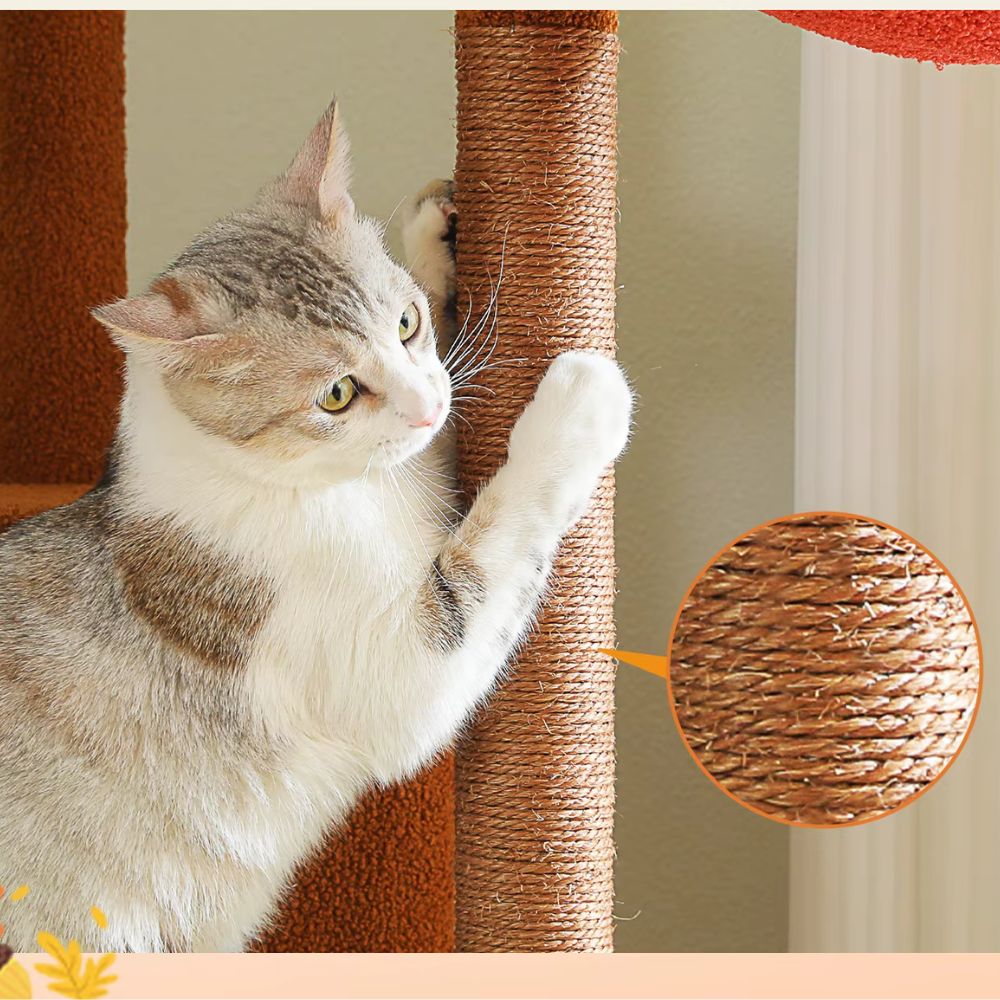 Arbre à chat marron du sol au plafond avec griffoirs, hamac et condo douillet