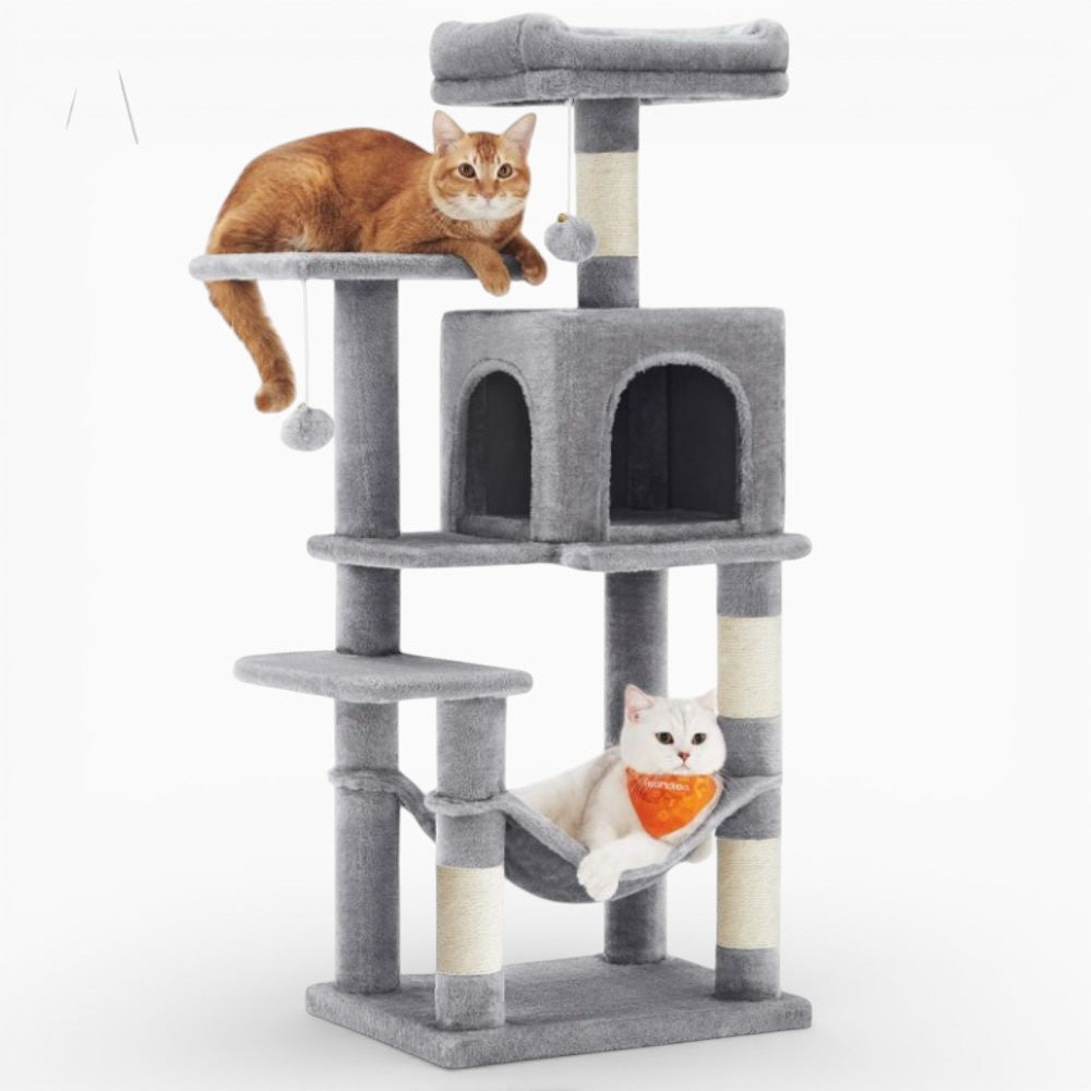 Arbre à Chat - Cosmo