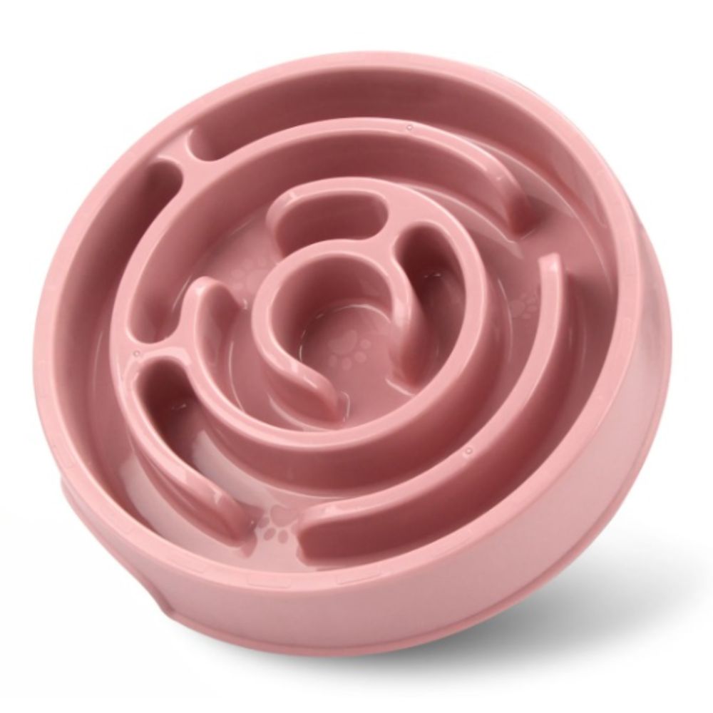 Gamelle anti-glouton pour chat