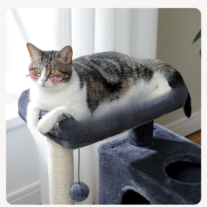 Arbre à chat noir 82 cm avec niches spacieuses et jouet