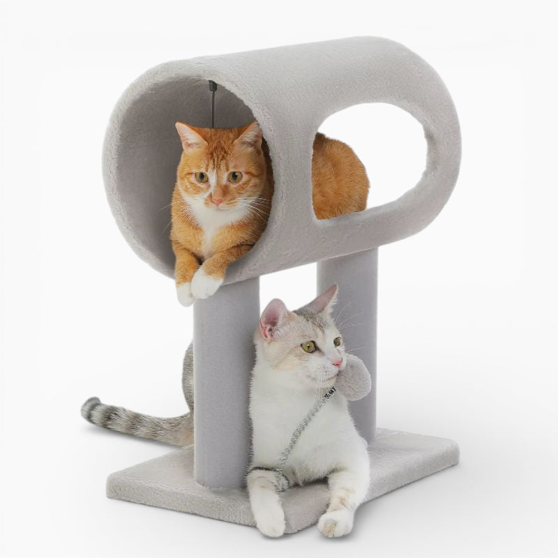 Arbre à Chat - Ravel