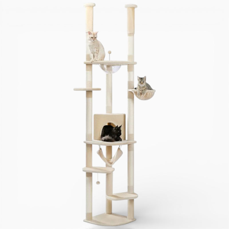 Arbre à Chat - Olmo