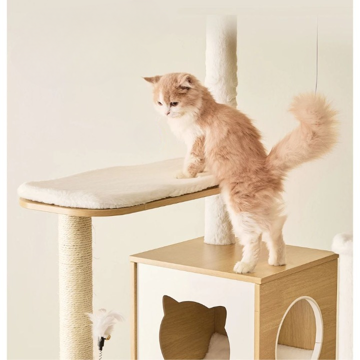 Arbre à Chat - Luna