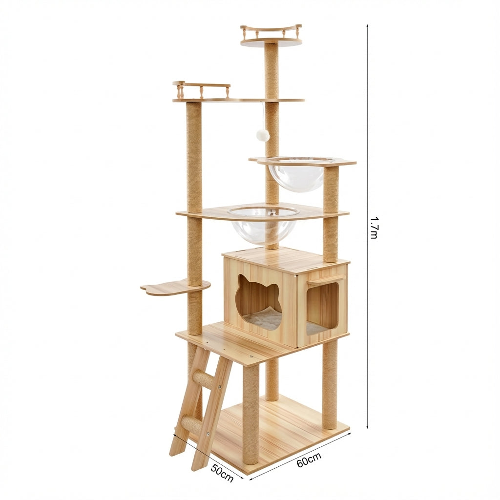 Arbre à Chat - Simba