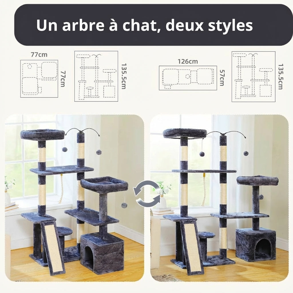 Arbre à Chat - Charly