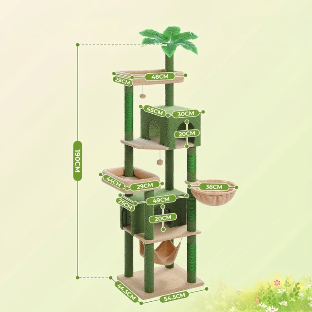 Arbre à Chat - Pacha