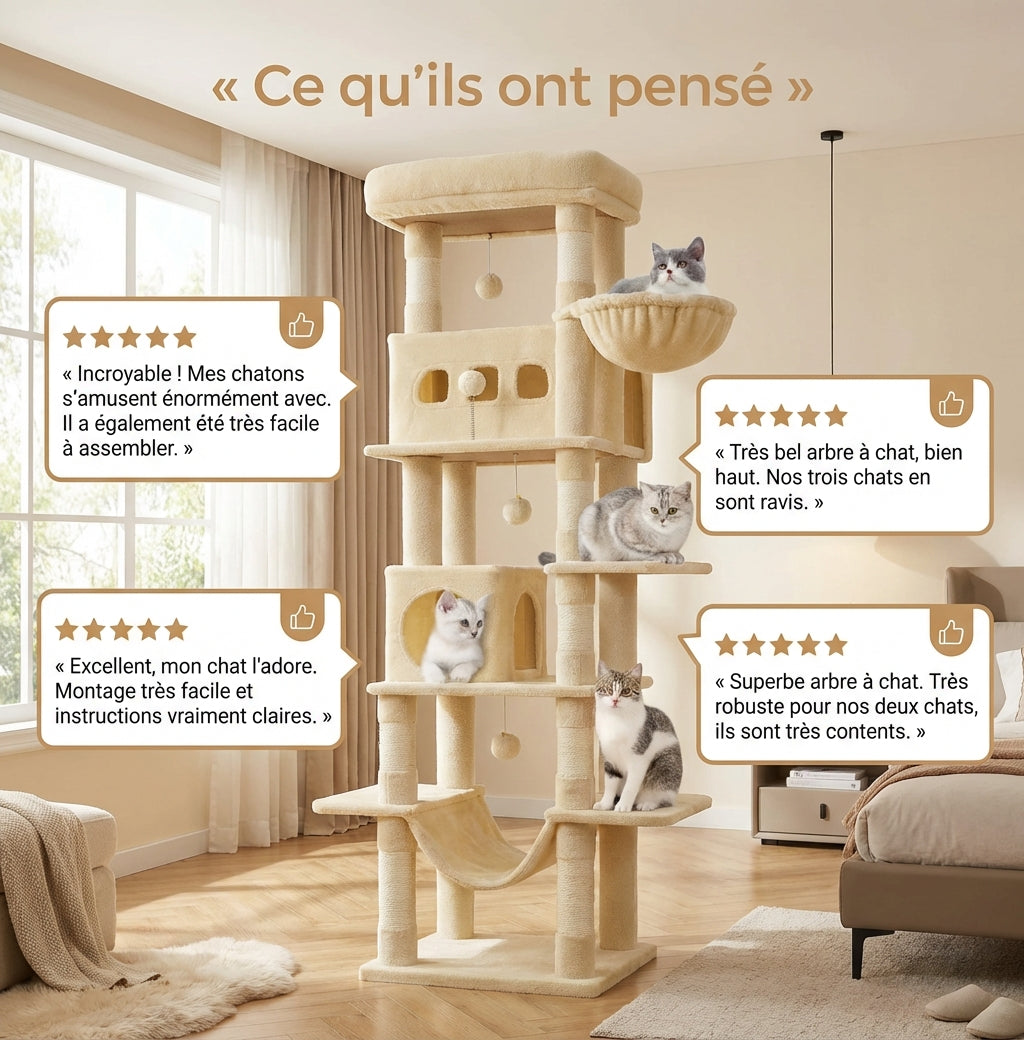 Arbre à Chat - Kito