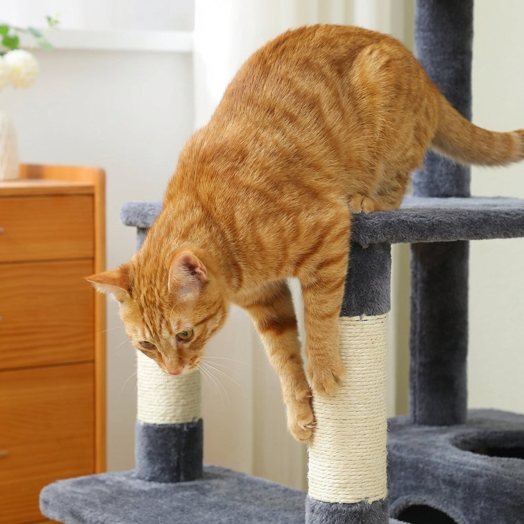 Arbre à Chat - Dyno