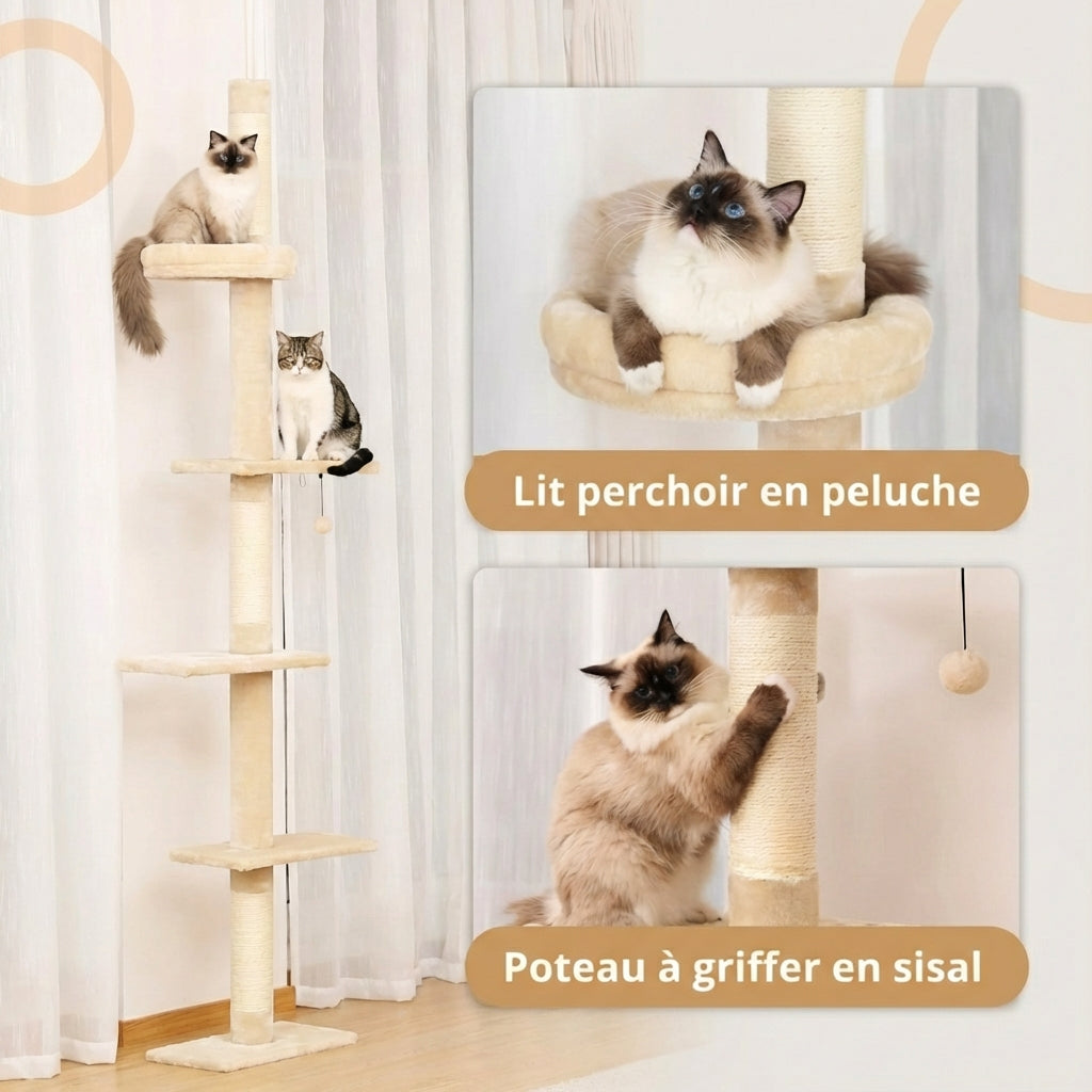 Arbre à Chat - Ruby