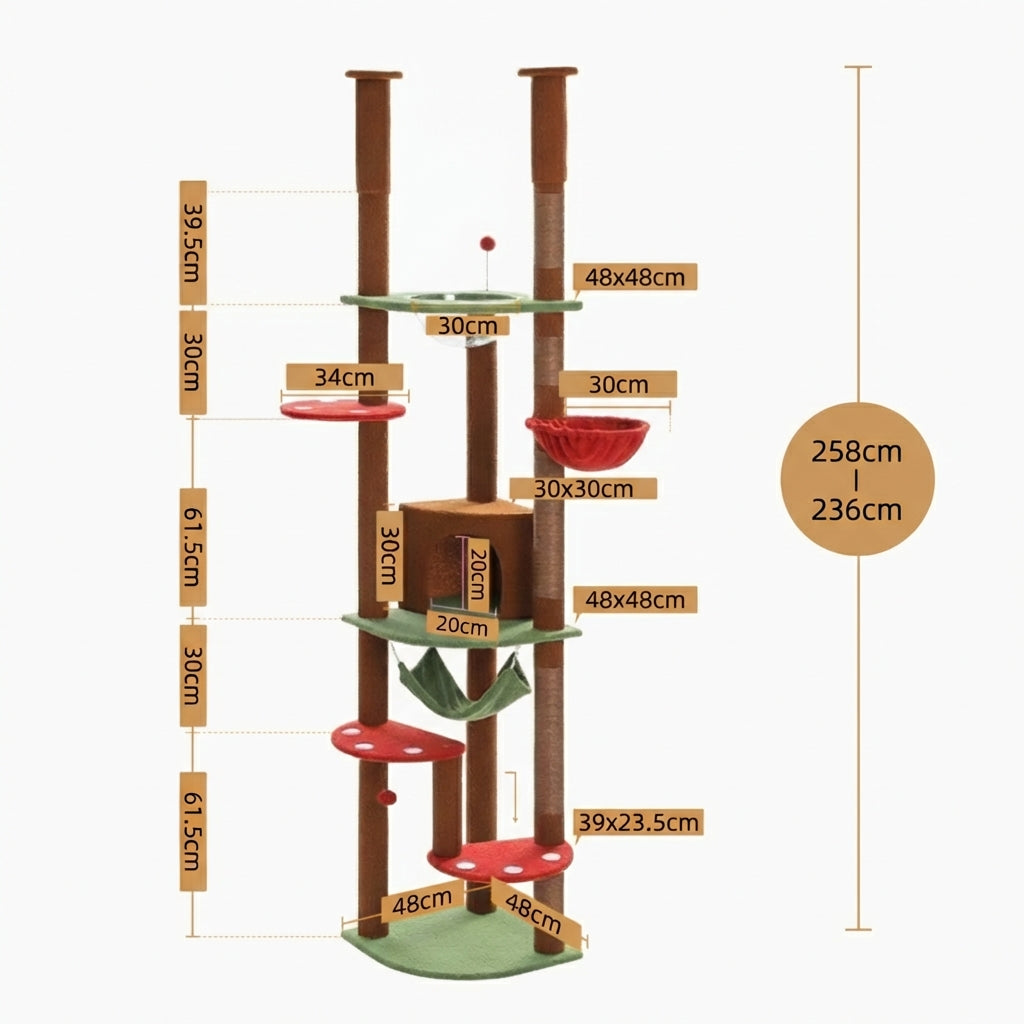 Arbre à Chat - Olmo