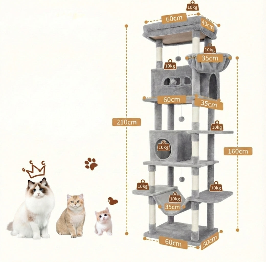 Arbre à Chat - Ulysse