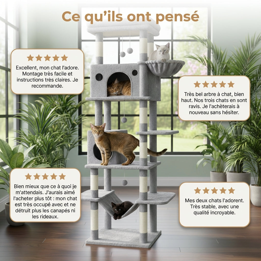 Arbre à Chat - Ulysse