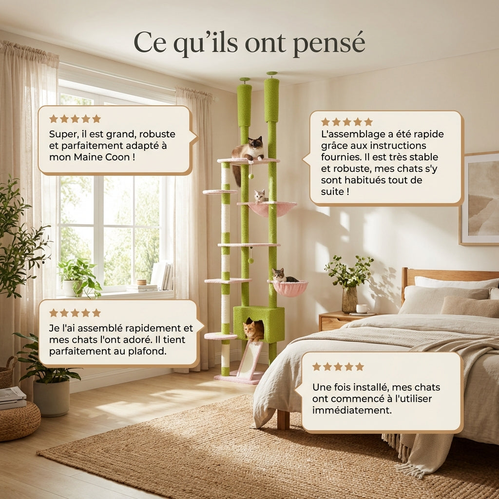 Arbre à Chat - Jasper