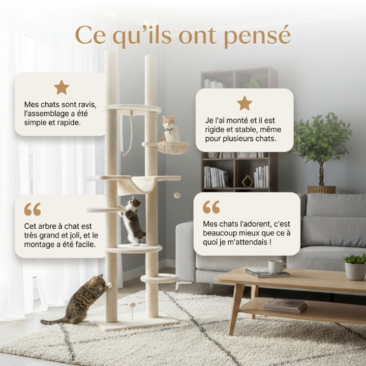 Arbre à Chat - Poppy