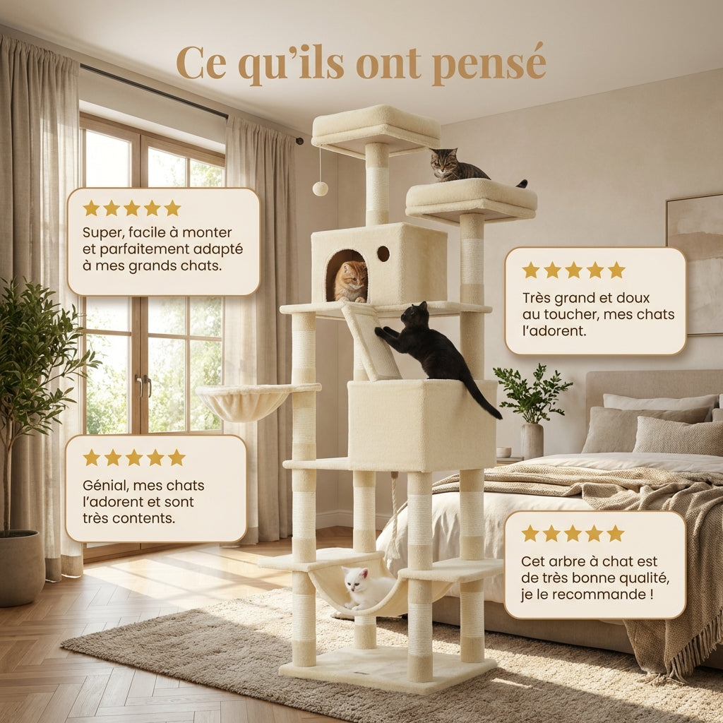 Arbre à Chat - Rocky