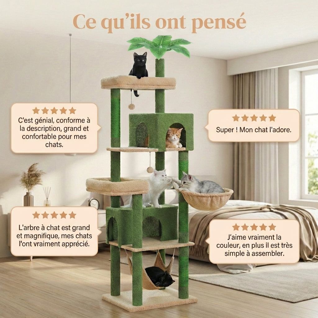 Arbre à Chat - Pacha