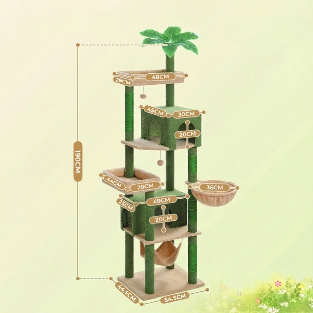 Arbre à Chat - Pacha