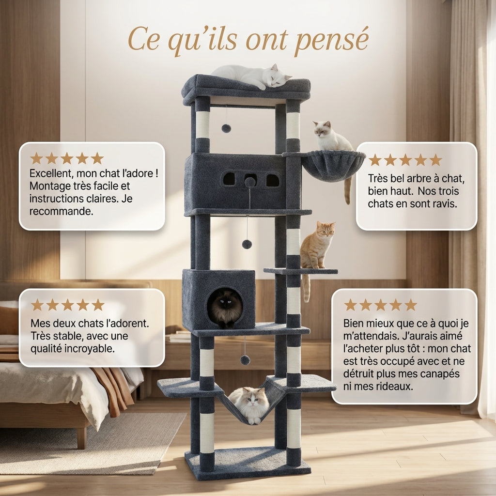 Arbre à Chat - Ulysse